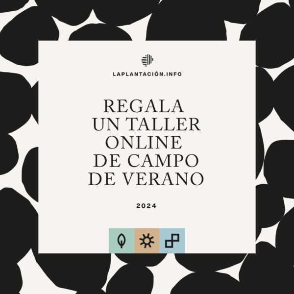 Regalo_A_Taller-1080x1080